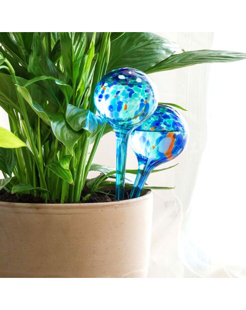 2 automatische Bewässerungstanks Aqua·Loon