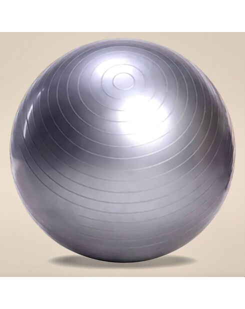 Ballon de gym gris - D.65 cm