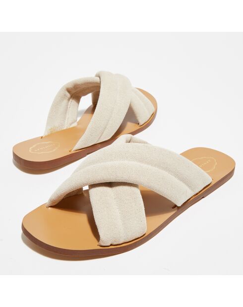 Muiltjes van natuurlijke geel-witte stof