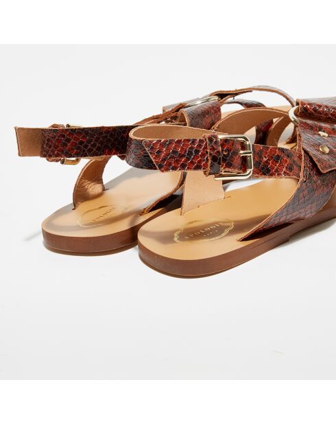 Sandali Tess in pelle con stampa pitone marroni