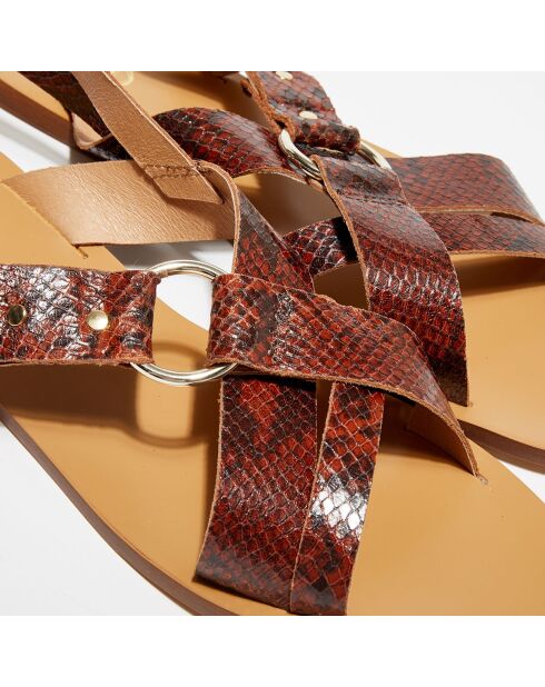 Sandali Tess in pelle con stampa pitone marroni