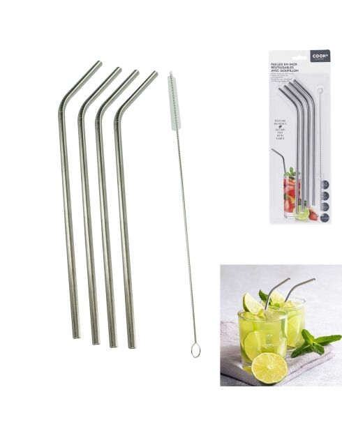 4 Pailles en inox avec goupillon grise - 25.4 cm