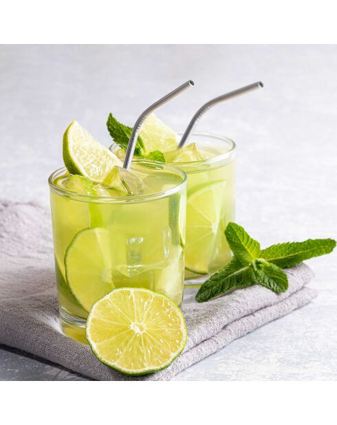 4 Strohhalme aus Edelstahl mit grauer Bürste — 25,4 cm