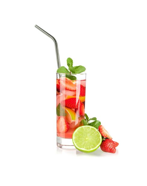 4 Pailles en inox avec goupillon grise - 25.4 cm