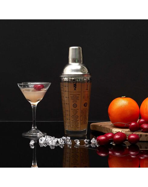 Shaker en verre avec recettes gris/transparent - 45 cl
