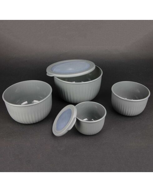 4 Boîtes de conservation gris - 23.5x13x22.5 cm