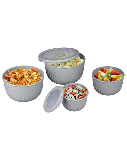 4 graue Aufbewahrungsboxen - 23,5 x 13 x 22,5 cm