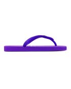 Tongs Clasica Brasil violettes