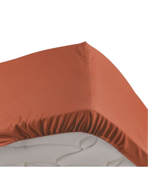 Drap housse 100% Percale de Coton Percaline terracotta
