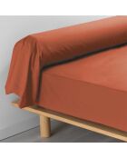 Taie de traversin Percaline terracotta
