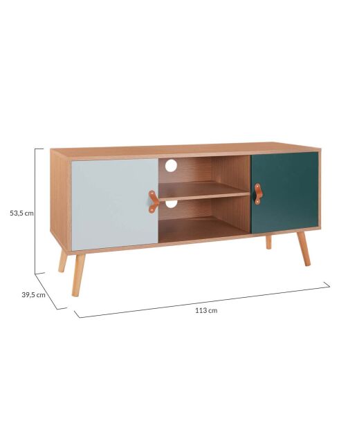 Meuble TV Aria bois/vert - 113x39.5x53.5 cm