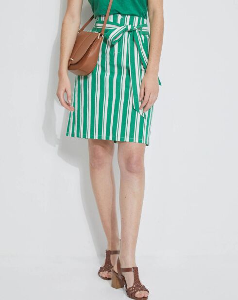 Jupe en Coton, Lin & Soie rayée écru/vert
