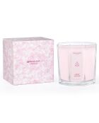 Aromatische kirschblütenfarbene Duftkerze - 2 Dochte 80h