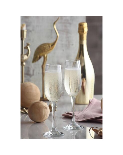6 calici da champagne trasparenti