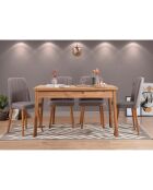 Ensemble Table + 4 Chaises Costa 0701 beige/gris
