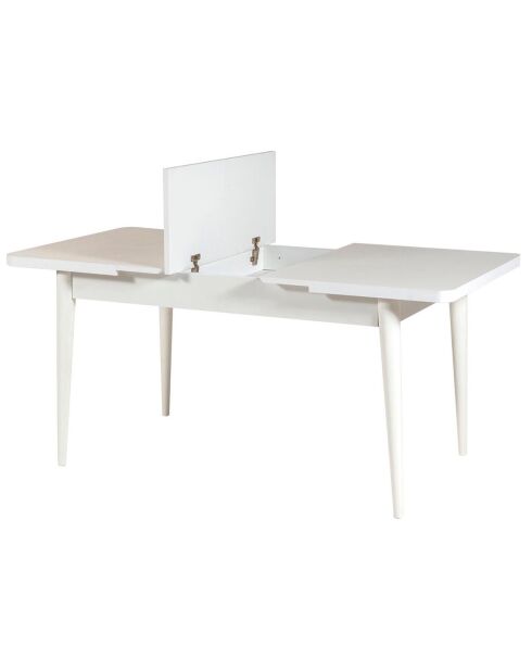 Ensemble Table + 2 Chaises + 2 Bancs Vina blanc/gris
