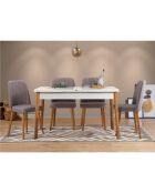 Ensemble Table + 4 Chaises Santiago 0701 beige/blanc/gris