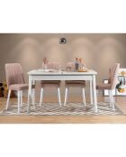 Ensemble Table + 4 Chaises Santiago 0900 blanc/gris