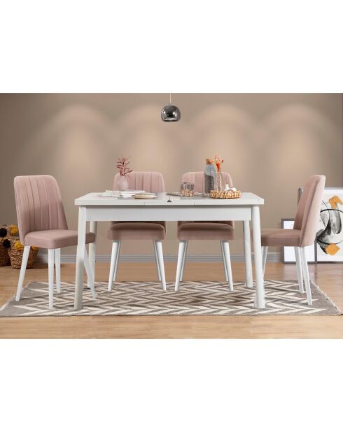Ensemble Table + 4 Chaises Santiago 0900 blanc/gris