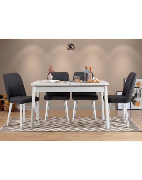 Ensemble Table + 4 Chaises Santiago 1053 blanc/anthracite