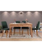 Ensemble Table + 4 Chaises Santiago 1070 beige/vert