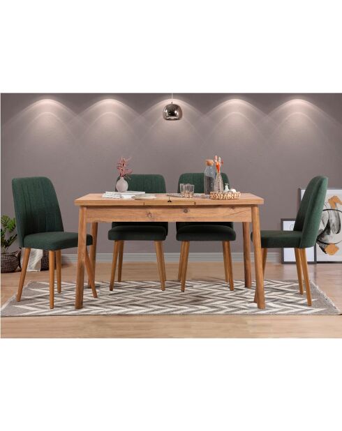 Ensemble Table + 4 Chaises Santiago 1070 beige/vert