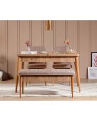 Ensemble Table + 2 Chaises + 1 Banc Vina beige/gris