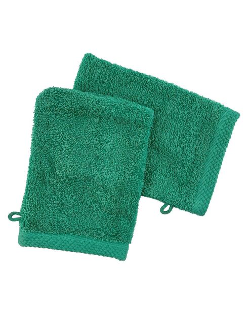 2 Gants de toilette jade - 16x21 cm