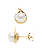 Boucles d'oreilles Entourage Or Jaune, Diamants 0.06 Cts & Perles de Culture d'Eau Douce Boutons blanc naturel