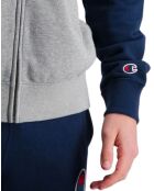 Sweat à Capuche Marc gris/bleu/rouge
