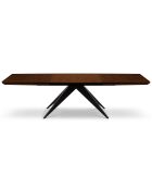 Table extensible Sky chêne foncé - 200/300x100x76 cm