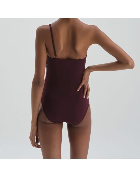 Maillot de Bain 1 pièce Joseph bordeaux