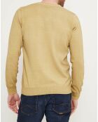 Pull col V beige