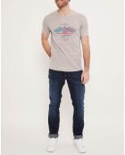 T-Shirt Eagle Flag gris beige