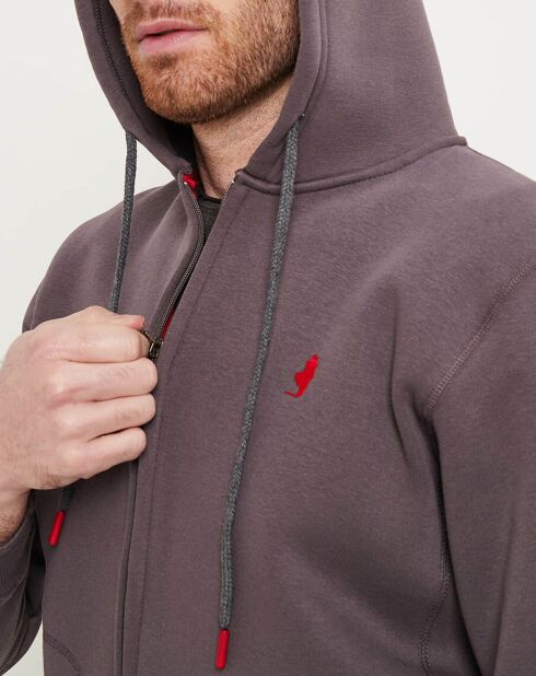 Sweat zippé à capuche anthracite