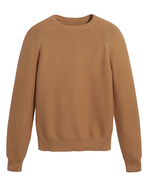 Pull 100% Coton Bio col rond marron