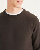 Pull 100% Coton Bio col rond marron