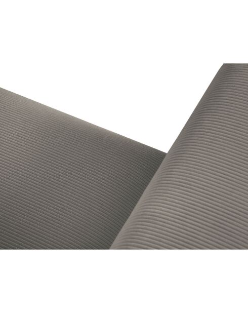Canapé Velours Côtelé Leon 2 places gris clair - 185x108x86 cm