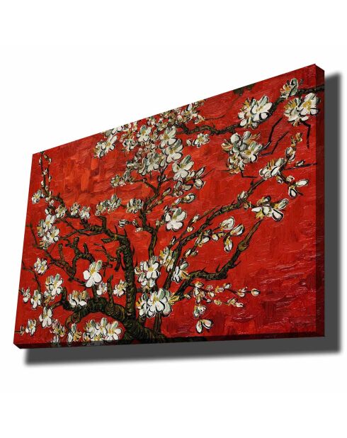 Toile peinture décorative multicolore - 70x100 cm
