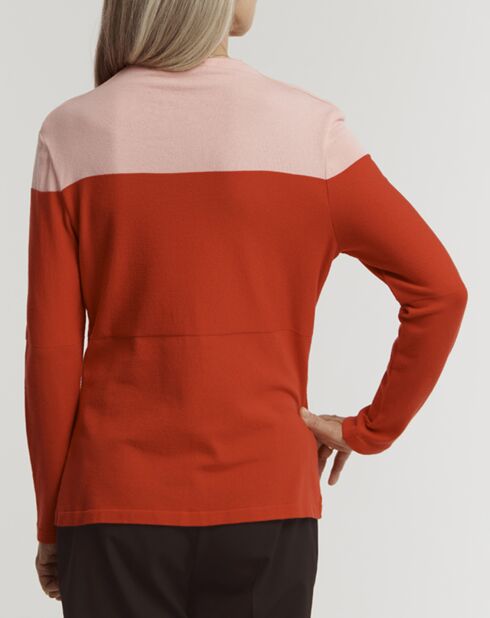 Pull Arctique bicolore brique/rose pâle