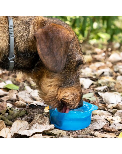 Bouteille avec Distributeur d'eau et d'aliments 2 en 1 bleue