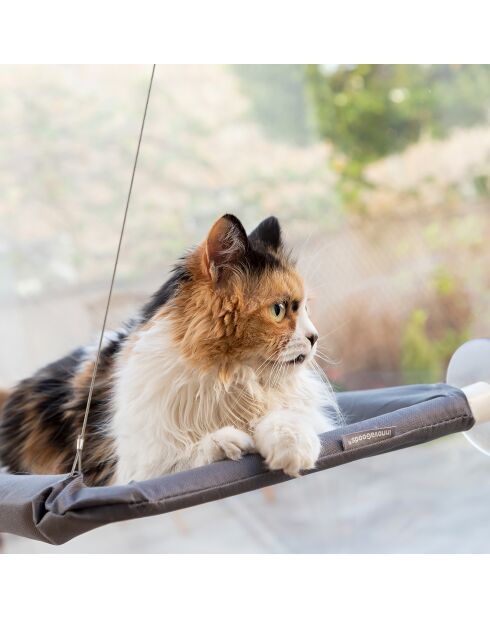 Catlax Hängematte für Katzen grau