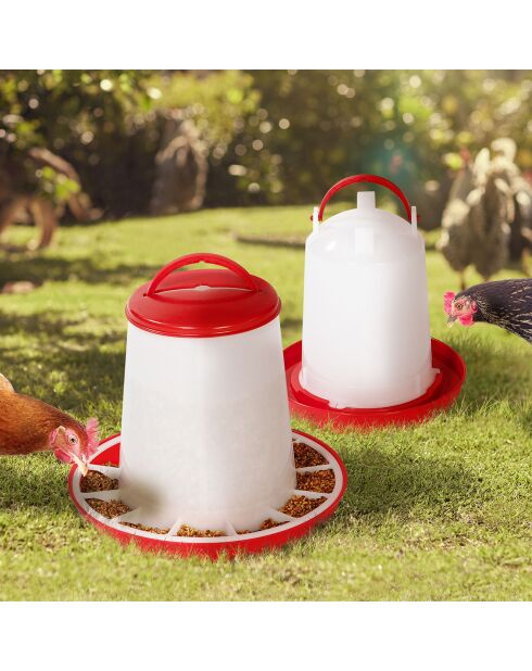 Abreuvoir + Distributeur Poules - Cl rouge/blanc