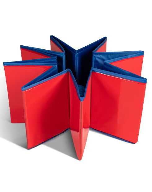 Piscine pour Chien 80 cm bleu/rouge