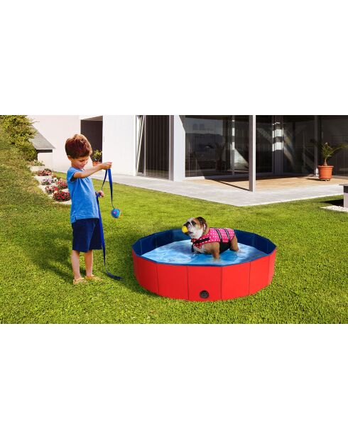Piscine pour Chien 80 cm bleu/rouge