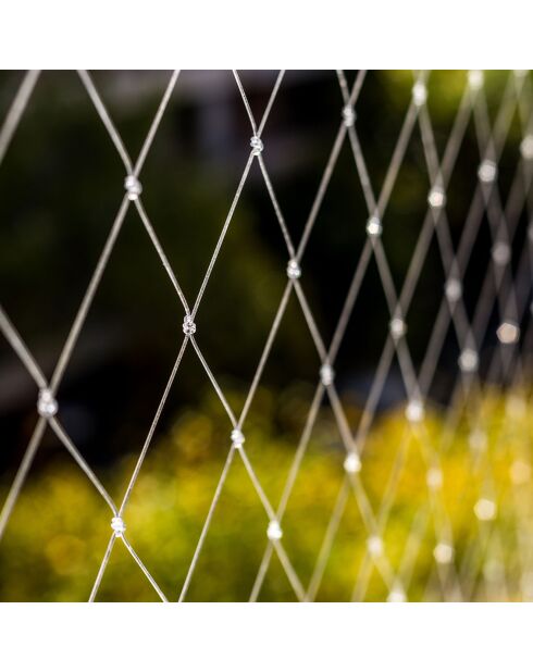 Rete per gatti in nylon trasparente 4x3m