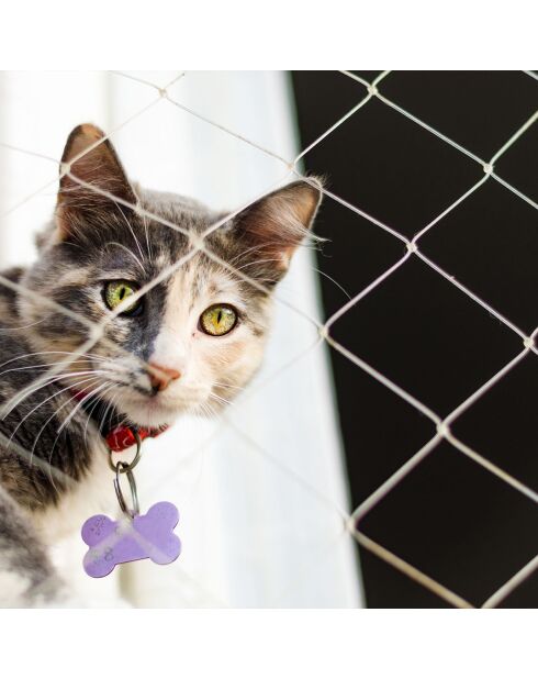 Rete per gatti in nylon trasparente 4x3m