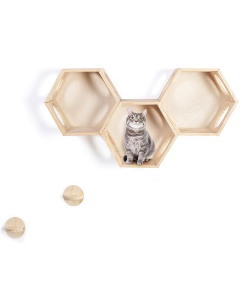 3 Étagères Modulables pour Chat bois