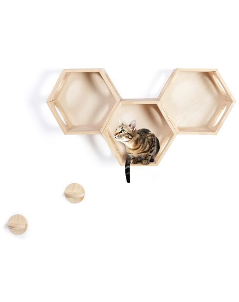 3 Étagères Modulables pour Chat bois