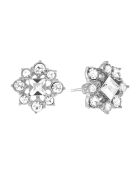 Celene Silberohrringe